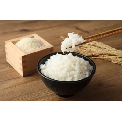 ふるさと納税 蘭越町 【先行受付_令和6年産】らんこし米 野口農場のななつぼし 2kg |  | 01