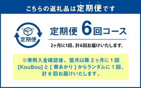 【年6回定期便】ミディ胡蝶蘭 KouBou 4種  ミディ胡蝶蘭 華あかり 2種 2本立ち  花 お花 植物 蘭 洋蘭 ラン インテリア  アレンジ アレンジメント 鑑賞 観賞用 贈答用