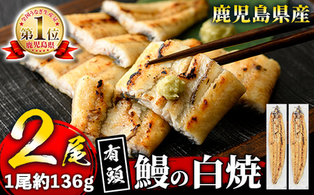 s445 《毎月数量限定》鹿児島県産 有頭白焼き2尾セット！(計約272g・約136g×2尾)山葵や醤油と一緒にお楽しみ下さい！鹿児島 国産 九州産 鰻 うなぎ【薩摩川内鰻】