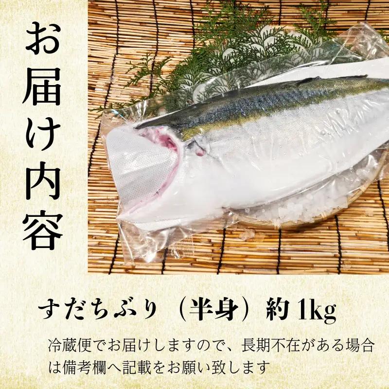ぶり フィレ すだちぶり 半身 1枚 1kg 冷蔵 徳島 養殖