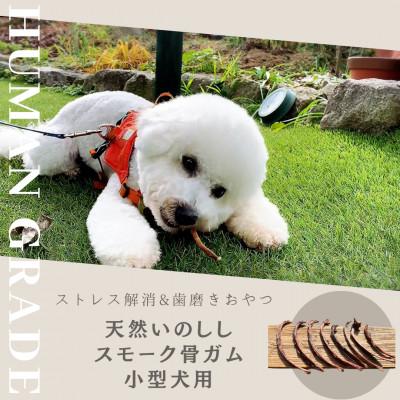 ふるさと納税 みやき町 犬のおやつ☆天然いのししの骨ガム☆小型犬向け_SS752