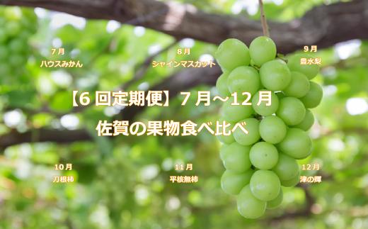
            【定期便セット】【6回定期便】7〜12月佐賀の果物食べ比べ
          