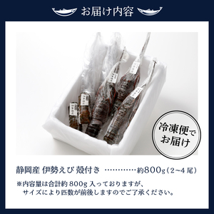 伊勢海老 三昧セットA 刺身用＋焼物用 (a40-075)