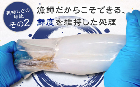 長崎県産 高級イカのゆず 塩辛 240g(80g×3本) いか 塩辛 九州 長崎 佐々町 ふるさと納税 おすすめ いか【楓帆】[QBM001]
