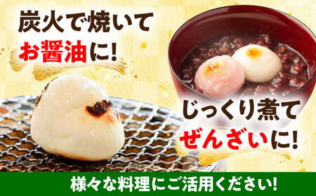 【12/10までの寄附で年内発送】農家がつくった杵つきもち 切り餅 丸餅 2.4kg （小分包装 / 600g×4袋） きねふりもち使用 瑞浪市 / 農事組合法人日吉機械営農組合 白餅 お餅 岐阜県産