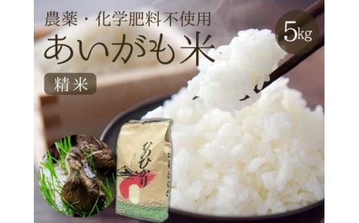 【安心安全！合鴨農法】あいがも米（精米済みヒノヒカリ）　5kg