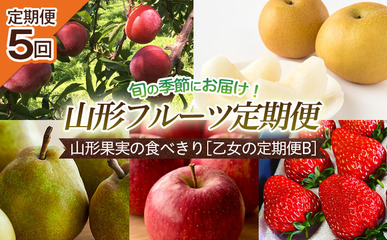 
【定期便5回】山形果実の食べきり[乙女の定期便B] 【令和6年産先行予約】FU22-749 フルーツ定期便 くだもの 果物 すもも 秋姫 なし 梨 洋梨 洋なし ラ・フランス ラフランス 和梨 あきづき りんご 林檎 ふじ いちご 苺 山形 山形県 山形市 2024年産
