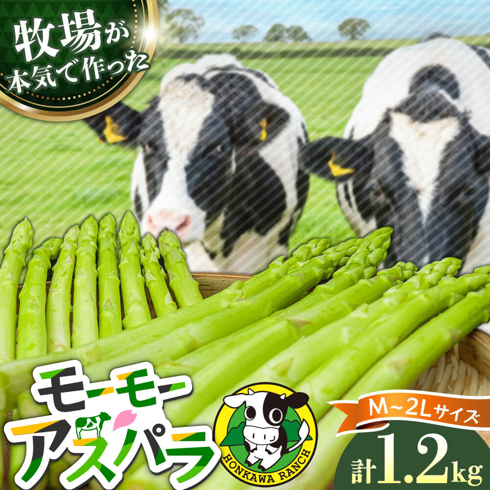 【ふるさと納税】【選べる種類】モーモーアスパラ 春芽 M / L / 2L セット 1.2kg 酪農 牧場 こだわり アスパラガス おすすめ 大分県 野菜 やさい 日田市 / 株式会社本川牧場 野菜 やさい [ARAI032/ARAI038]