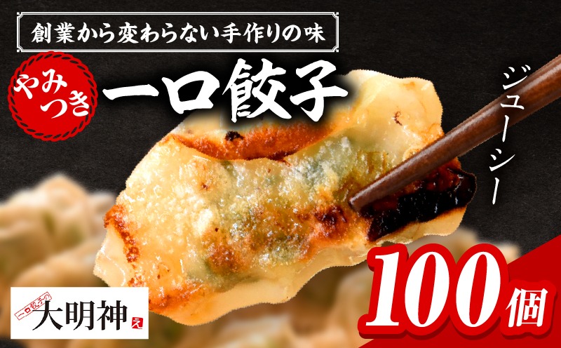 一口餃子 100 個入りタレ２個_kn107-002