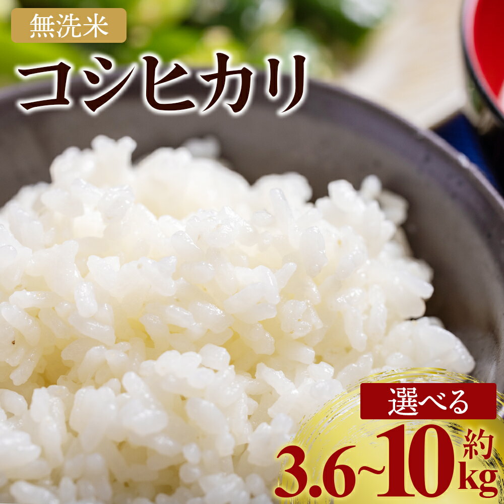 【ふるさと納税】【選べる】新米 令和7年産 無洗米 コシヒカリ （内容量：3.6kg/9kg/10kg） - 選べる 数量 国産 米 お米 おこめ こしひかり 白米 精米 10キロ ごはん おにぎり ご飯 ギフト 贈答 防災 備蓄 高知食糧株式会社 高知県 香南市【常温】