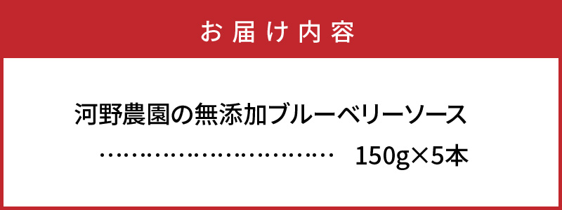 河野農園の酸化防止剤無添加ブルーベリーソース150g×5本_1450R