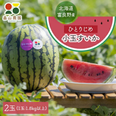 【ふるさと納税】『2025先行予約』ひとりじめ小玉すいか　2玉【配送不可地域：離島・沖縄県】【1318922】