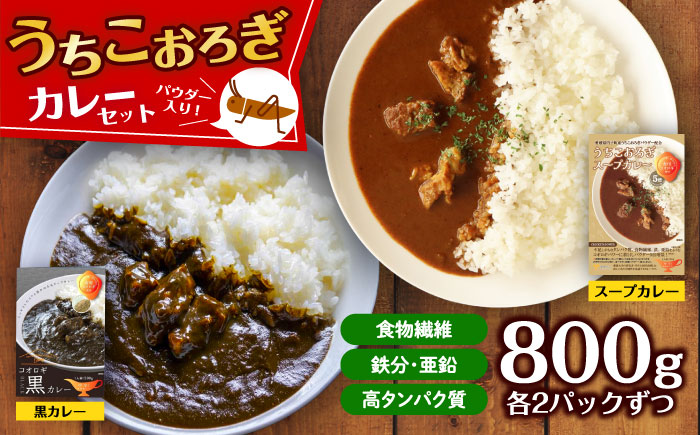 うちこおろぎスープカレー2個と定番コオロギ黒カレー2個セット／国産牛肉 タンパク質 食物繊維 鉄分 亜鉛 保存食 防災 内子町【株式会社ヒューネット風の谷うちこおろぎファーム】 [BKBN003]