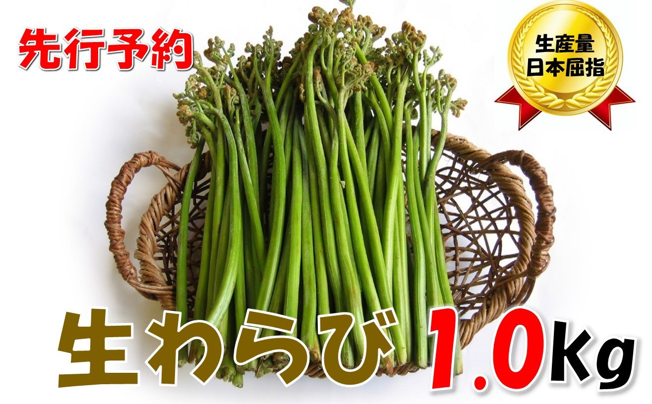 
            【先行予約・数量限定】採れたて山菜　生わらび　1kg×1束（R7.5月～）
          