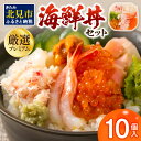 【ふるさと納税】厳選！プレミアム海鮮丼セット10個入 ( うに ウニ 雲丹 貝 かい 海鮮丼 海鮮 魚介類 丼 プレミアム セット ふるさと納税 )