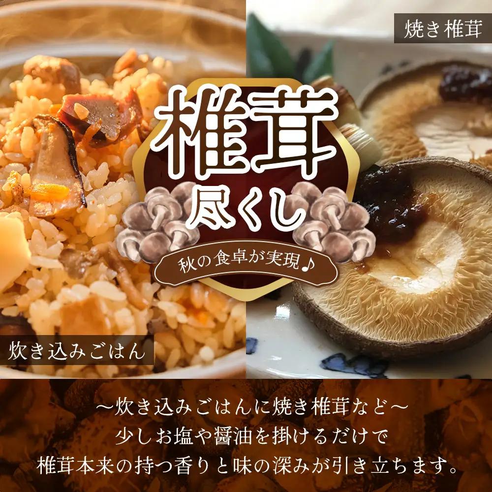 【先行予約】宮崎県諸塚村産 原木生椎茸 約650g［2026年9月～11月ごろにお届け］冷蔵｜しいたけ 生シイタケ きのこ キノコ 原木しいたけ 産地直送 秋の味覚 もろっこはうす MO-30
