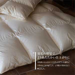 布団 【新生活応援】羽毛掛ふとん 敷ふとん 枕 3点セット(シングル) 布団