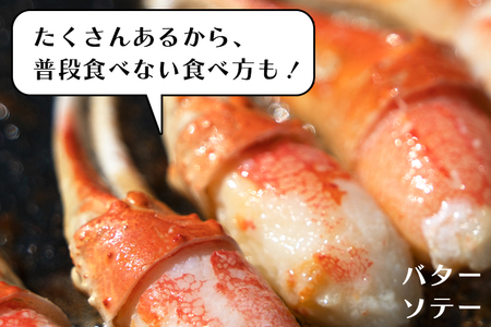 ボイル 本ずわいがに 爪 500g×1 カジマ ずわい蟹 ズワイガニ ずわいがに かに カニ 蟹 かに爪 カニ爪_AF017