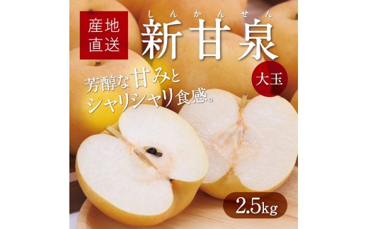 
                  大玉新甘泉 2.5kg箱(5～7玉入)【たにがみ農園】
                