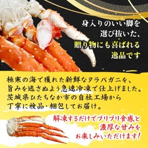 ボイル本たらばがに脚 6L×1肩(約1.2kg)【配送不可地域：離島】【1692168】