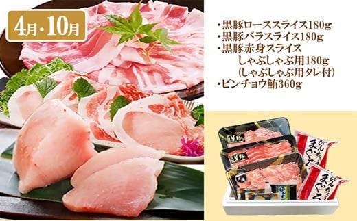 定期便(6回)A5等級黒毛和牛・黒豚・かつお・まぐろ FF-0058【1166770】 _ 定期便 牛肉 肉 お肉 サーロイン ステーキ  焼肉  ハンバーグ 切り落とし 豚肉 しゃぶしゃぶ ロース 