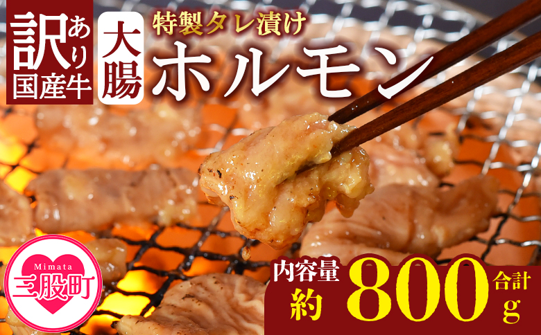 ＜【訳あり】国産牛ホルモン大腸（特製タレ漬け）計800g(400g×2袋)＞大腸を秘伝の特製タレに漬け込みました！【MI427-nk】【中村食肉】