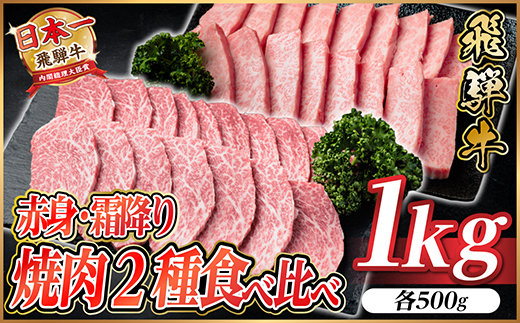 飛騨牛　赤身・霜降り焼肉2種食べ比べセット(ヒレ・三角バラカルビ)　計1kg(各500g)タレ付き【配送不可地域：離島】