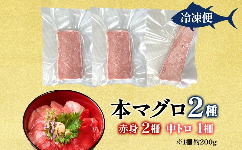 本マグロ 赤身 2柵 中トロ 1柵 セット 国産 本鮪 まぐろ マグロ クロマグロ 鮪 刺身 丼ぶり 寿司 海鮮 魚介 贅沢 お取り寄せ 詰め合わせ グルメ 産地直送 送料無料 冷凍 道の駅 青森県 