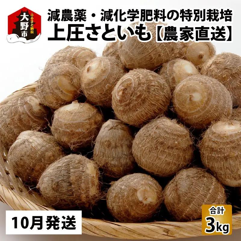 上庄さといも 【10月発送分】 3kg  里芋 特別栽培 [A-004001_01]