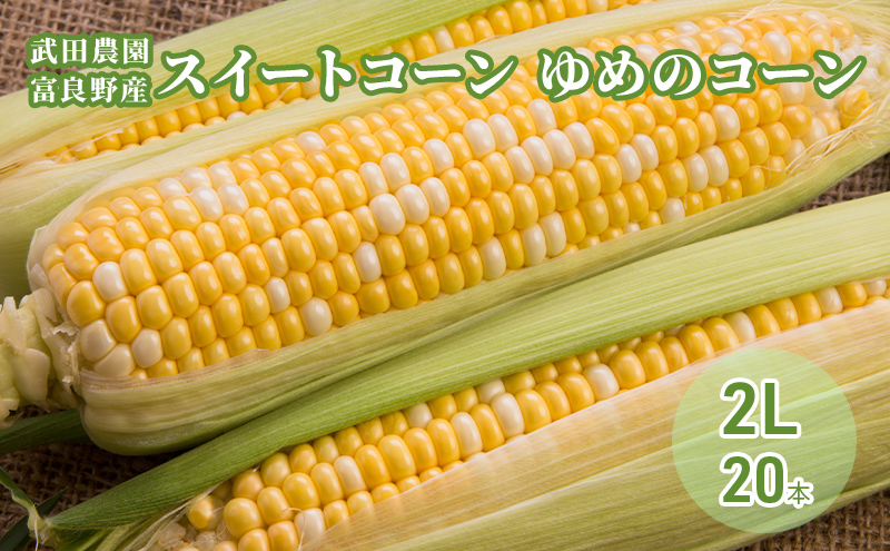 ［武田農園とれたて直送］スイートコーン ゆめのコーン  2L 20本 みずみずしく抜群にあまい！北海道 富良野産 (とうもろこし 野菜 新鮮 とうきび 甘い 産地直送 先行予約 限定)