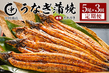 ＜定期便＞5尾×全3回 国産 うなぎ 蒲焼 有頭 計2.7kg以上（1回あたり 計905g以上） たれ付き 宮崎県産 鰻 中村商店