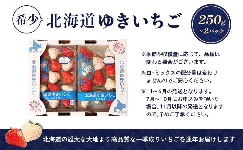 【北海道産】ゆきいちご（ゆきぼたん/紅ほっぺ）赤白ＭＩＸ×２Ｐセット 250g×2 計【59003】