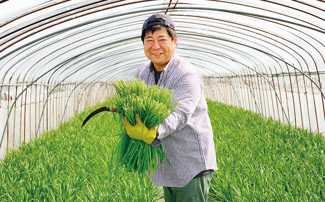 フタワのにら餃子 20g×50個×3袋 合計150個