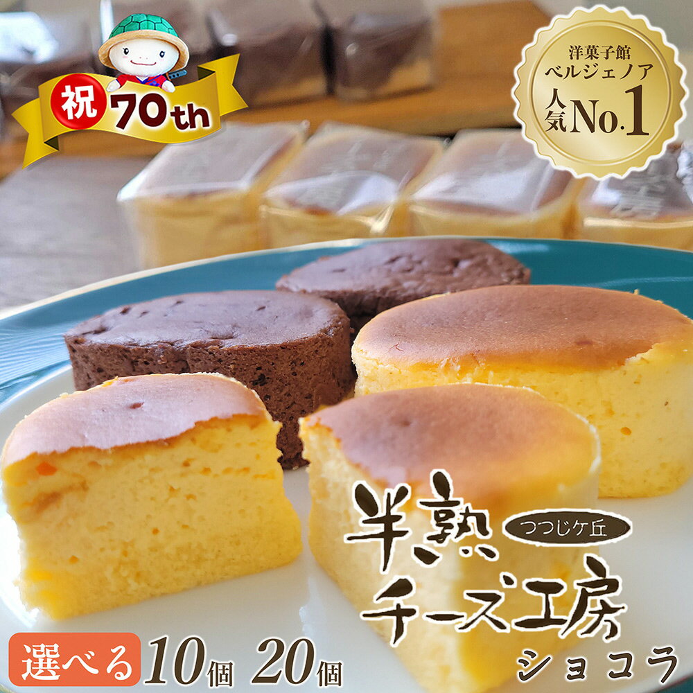 【ふるさと納税】【70th記念 年末感謝！】高評価★4.9 濃厚 半熟チーズケーキ・半熟ショコラ 10個 20個 食べ比べ アソート 選べるセット 個包装 無添加 冷蔵 冷凍 ふるさと納税 スイーツ 半生 スフレ ケーキ チョコケーキ ギフト 洋菓子 プチ贅沢 5000円 10000円 特別規格