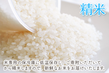 【12ヶ月連続お届け】福井県坂井市丸岡町産 コシヒカリ（精米）5kg×12回 計60kg 決済から7日前後 [I-11301_03]