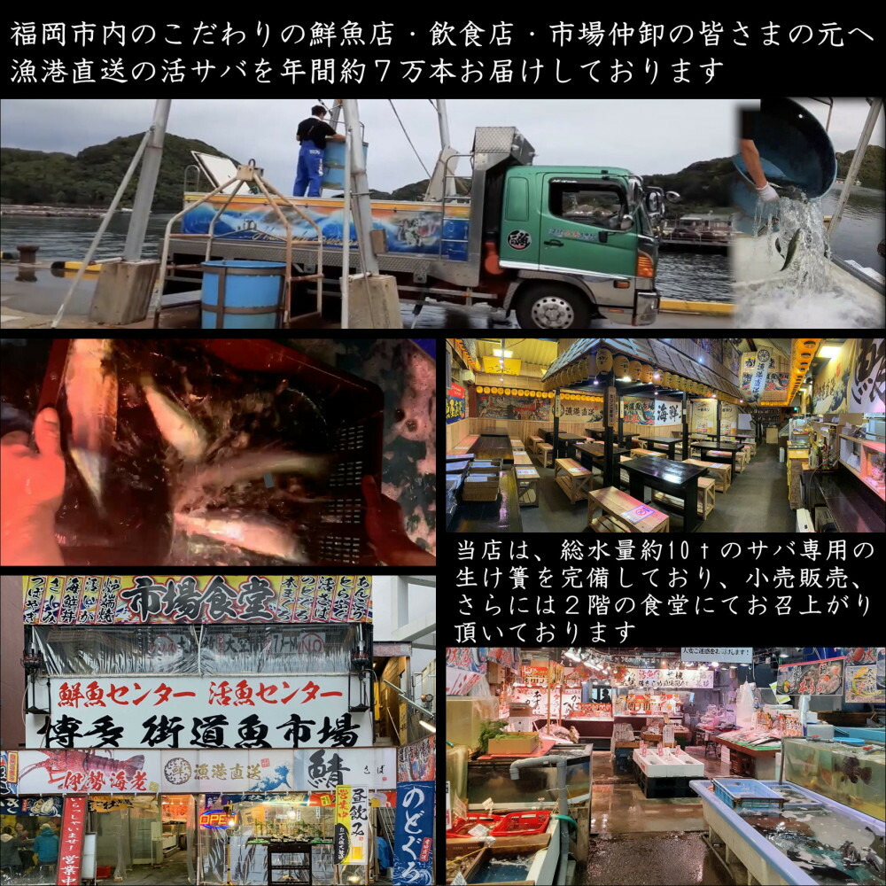 元祖 博多ごまさば　 1皿3～4人前