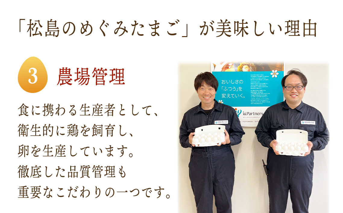 No.162 松島のめぐみたまご　20個入り　3ヵ月定期便