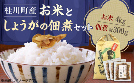 桂川町産 白米 4kg と しょうがの佃煮セット  桂川町/けいせんとれたて村加工部[ADAI001] コメ 米 こめ 白米 佃煮 セット しょうが ご飯