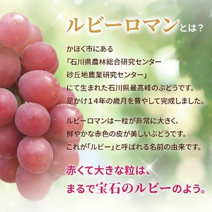 ルビーロマン 500g × 2房（2箱）【2027年収穫分】| ぶどう ぶどう 葡萄