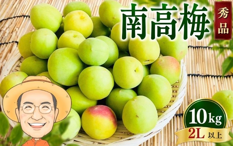 
                  【秀品】南高梅 青梅 約10kg (＋補償100g) 2L以上 カキエモン農園 【2027年6月上旬～6月中旬頃順次発送】 和歌山産 梅干し 梅酒 梅シロップ 果実 うめ 梅 ウメ カキエモン 農園 送料無料 なんこううめ なんこうばい なんこう梅 加工用 家庭用 紀州【BX-kkem011A】
                