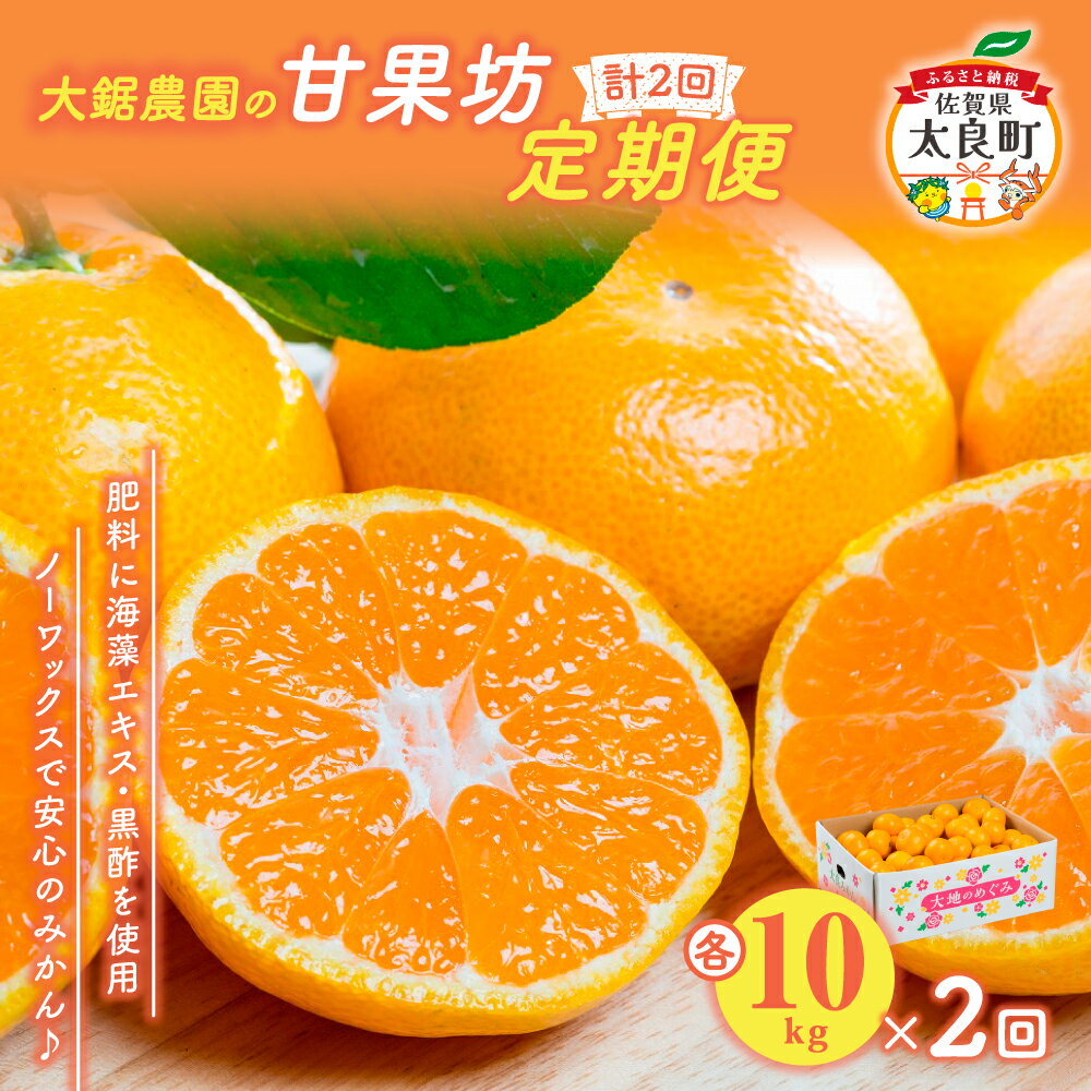 【ふるさと納税】P-81 大鋸農園の甘果坊 10kg【2回定期便】