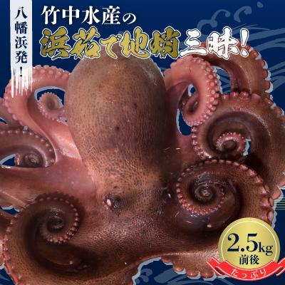 ふるさと納税 八幡浜市 八幡浜発!竹中水産のたっぷり「浜茹で地蛸」三昧!たっぷり2.5kg前後【H22-190】