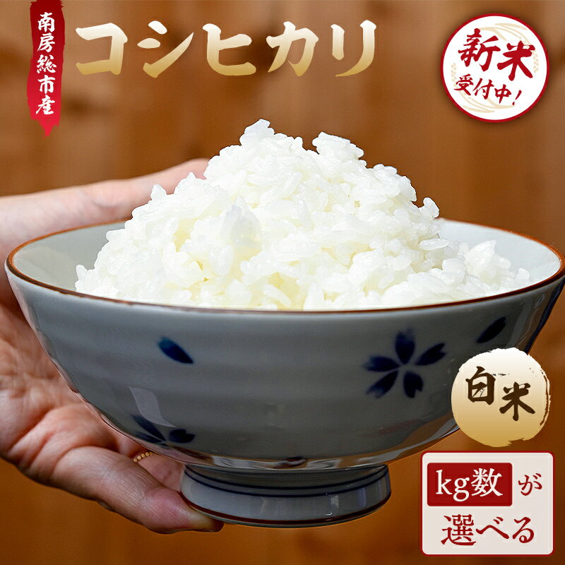 【ふるさと納税】 【kg数が選べる】 【2025年9月10日以降発送予定】【令和7年産】南房総市産コシヒカリ白米 千葉県 南房総市 お米 米 コシヒカリ おにぎり ご飯 白米 ブランド米 国産米 お取り寄せ グルメ 送料無料