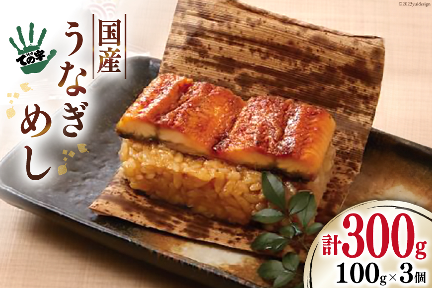 【ての字】 うなぎ 国産 鰻めし 100g ×3 [静岡伊勢丹 静岡県 吉田町 22424468] ウナギ 鰻 蒲焼 蒲焼き おこわ おにぎり 冷凍 ての字
