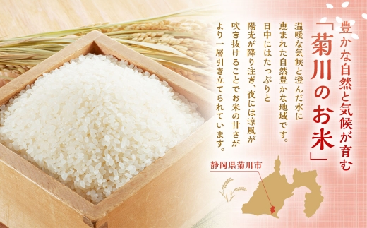 【10営業日発送】【令和7年産】静岡県産コシヒカリ 精米 10kg （5kg×2袋） 【2026年8月下旬迄順次発送予定】 コシヒカリ こしひかり 白米 米 コメ こめ ご飯 ごはん 菊川市 静岡県