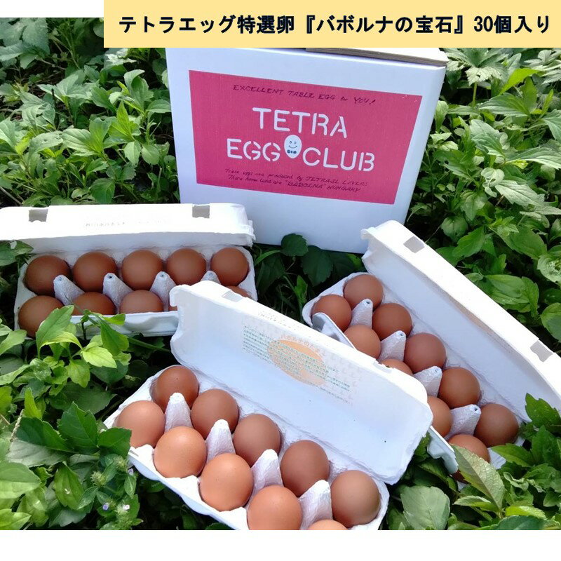 【ふるさと納税】テトラエッグ特選卵『バボルナの宝石』30個入 たまご 卵 玉子 特選卵 テトラエッグ 30個 【A-807】
