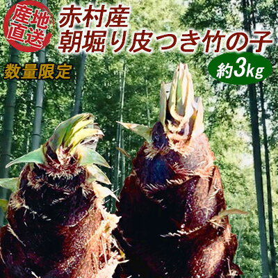 【ふるさと納税】【数量限定】赤村産　朝掘り皮つき竹の子　約3kg　S1