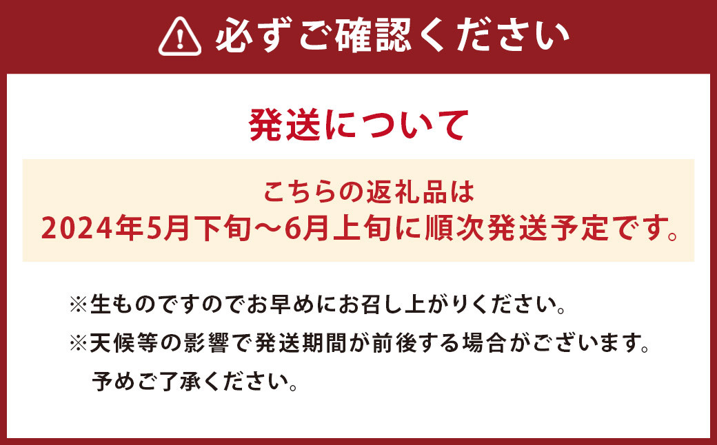 長崎びわ なつたより 250g×4パック（計1kg）2Lサイズ