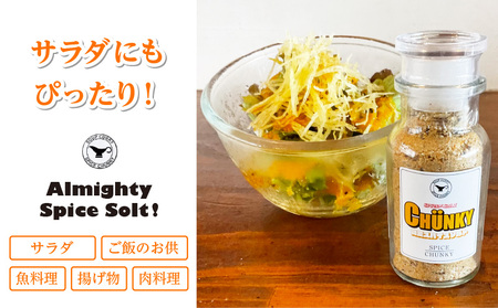 宮崎スープカレーセット(スープカレーほろほろチキン真空冷凍パック、スパイスソルト) スープ カレー レトルト