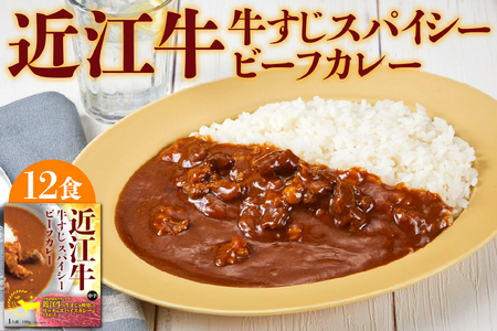 【京阪百貨店厳選】近江牛すじスパイスカレー160ｇ×12食セット_OS048-0064